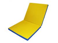 Мат гимнастический (2х1х0,1 м) складной